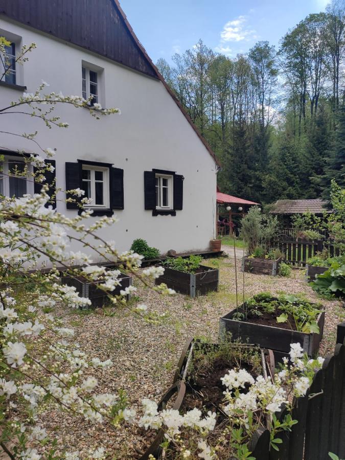 Lusatia Farm Лесьна Экстерьер фото