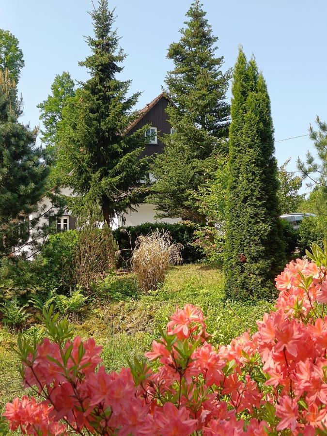 Lusatia Farm Лесьна Экстерьер фото